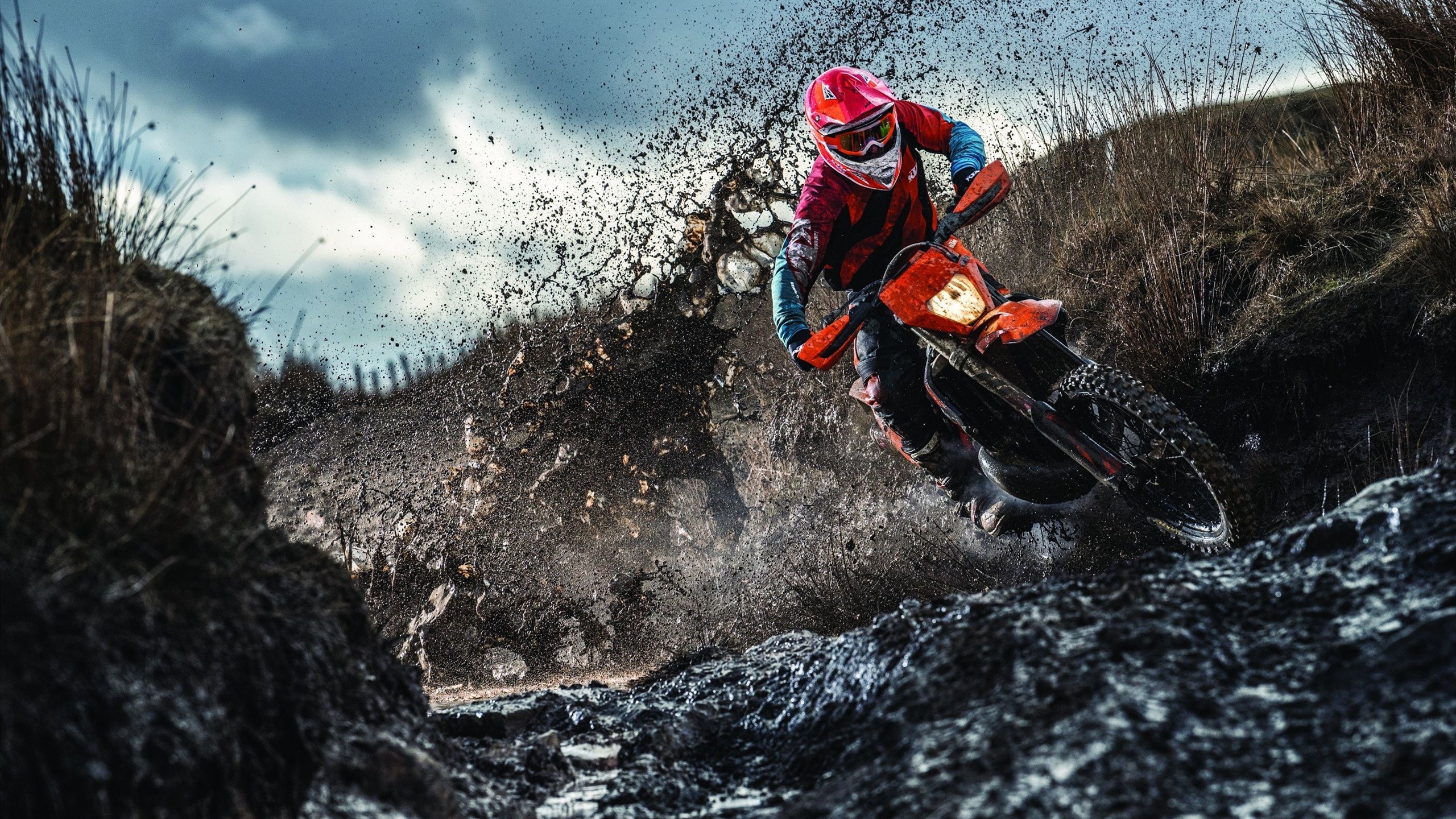 瑜伽健身房数量增加，满足大众需求，健身房瑜伽课程有哪些